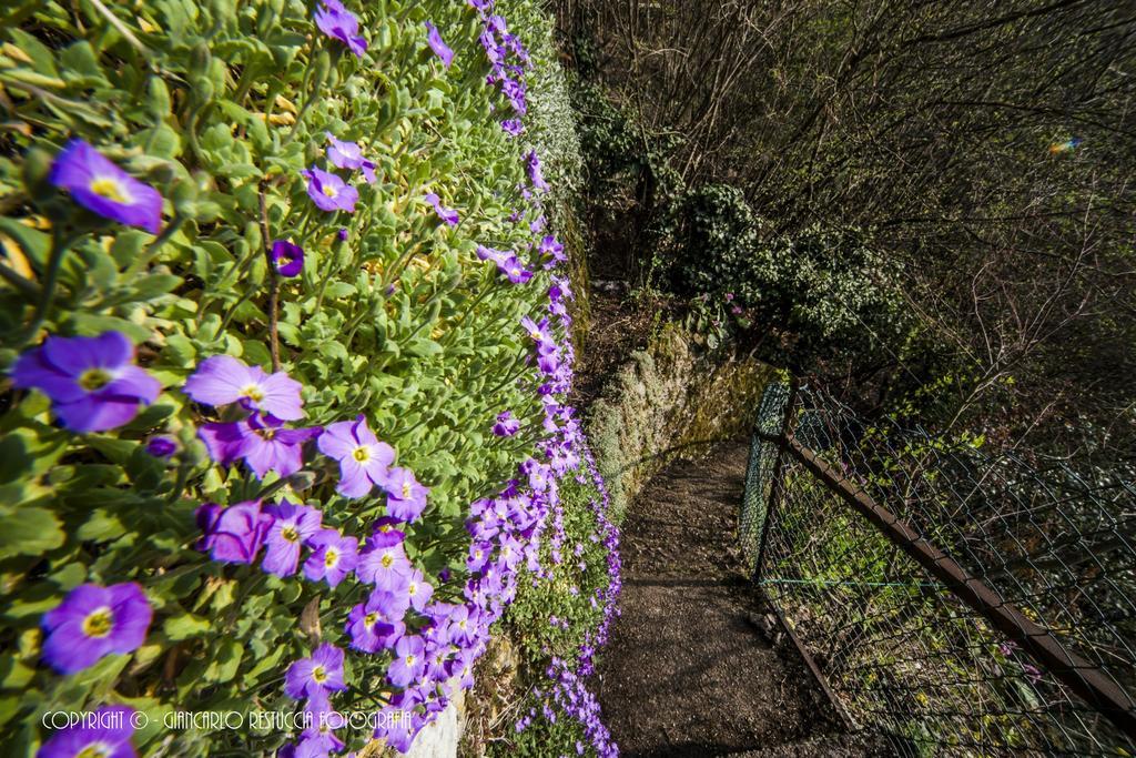B&B Il Balcone Sul Lago Brunate Bagian luar foto